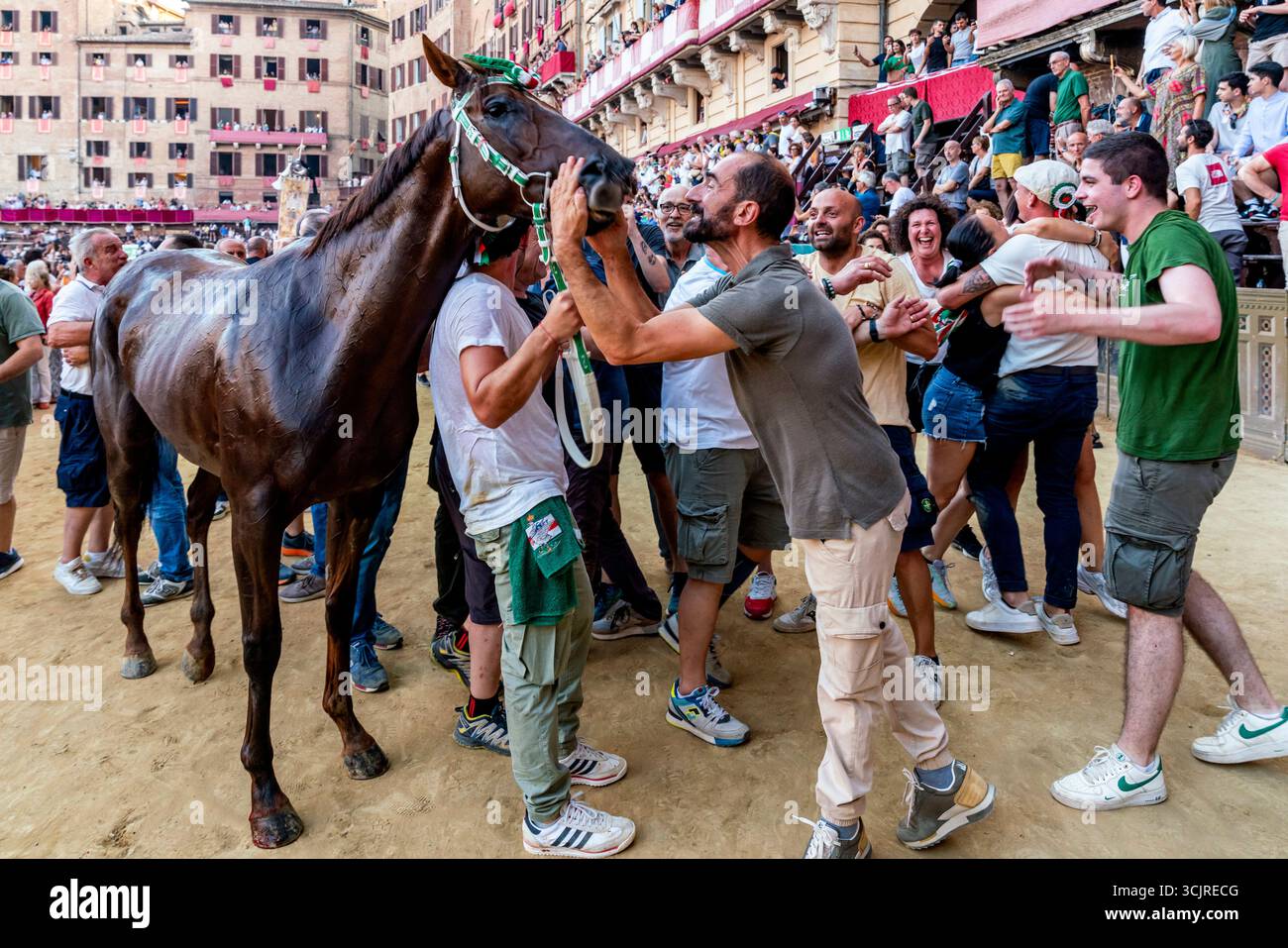 Die Siegreichen Oca (Goose) Contrada Feiern Mit Ihrem Pferd Auf Der Piazza Del Campo, Nachdem Sie Den Palio, Den Palio, Siena, Toskana, Italien Gewonnen Haben. Stockfoto