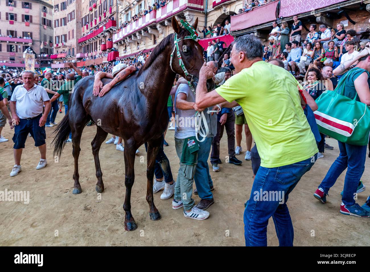 Die Siegreichen Oca (Goose) Contrada Feiern Mit Ihrem Pferd Auf Der Piazza Del Campo, Nachdem Sie Den Palio, Den Palio, Siena, Toskana, Italien Gewonnen Haben. Stockfoto