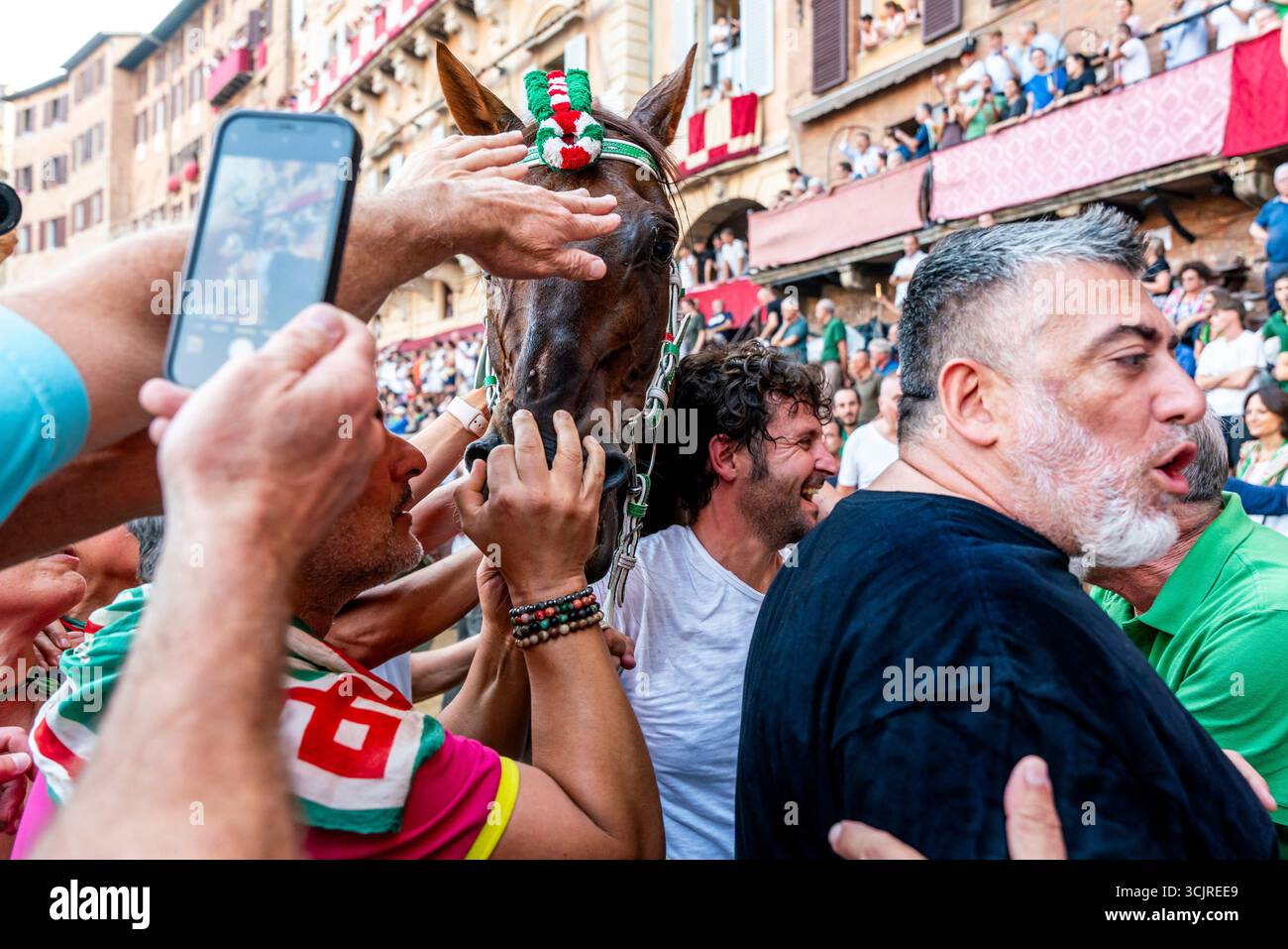 Die Siegreichen Oca (Goose) Contrada Feiern Mit Ihrem Pferd Auf Der Piazza Del Campo, Nachdem Sie Den Palio, Den Palio, Siena, Toskana, Italien Gewonnen Haben. Stockfoto