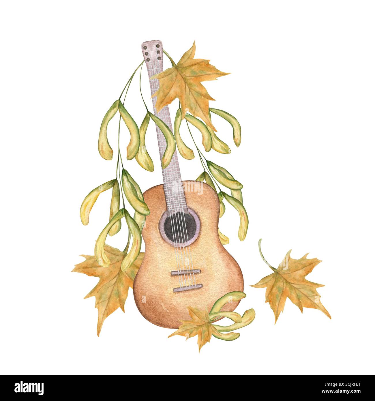 Sechs Saitengitarre verzierte Ahornsamen und Blätter Aquarellillustration auf isoliertem Hintergrund. Braunes Musiksaiteninstrument und Pflanze i Stockfoto