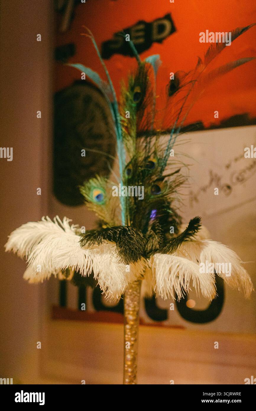 Farbenfrohe Federn bilden ein elegantes Herzstück in einer modernen künstlerischen Umgebung. Stockfoto