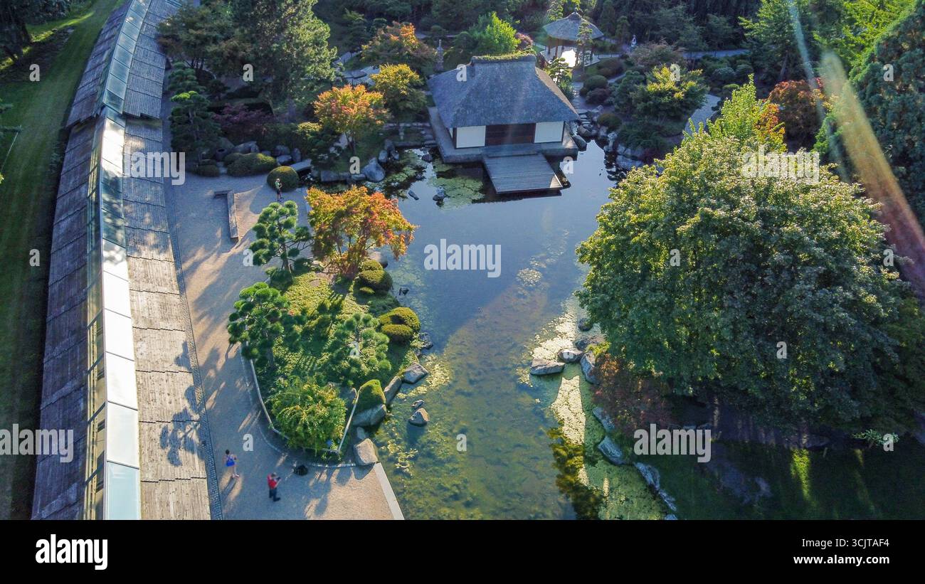 Aus der Vogelperspektive auf den Teich und DIE NATUR (Herbstblattfarbe (Herbst kommt bald) im Japanischen Garten in Planten un Blomen in Hamburg im Sommer). Ein Stockfoto