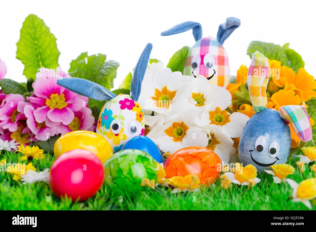 Ostereier mit Hasenohren und glückliche Gesichter zwischen anderen Ostereiern und Primeln im Gras, ausgeschnitten, komponiert Stockfoto