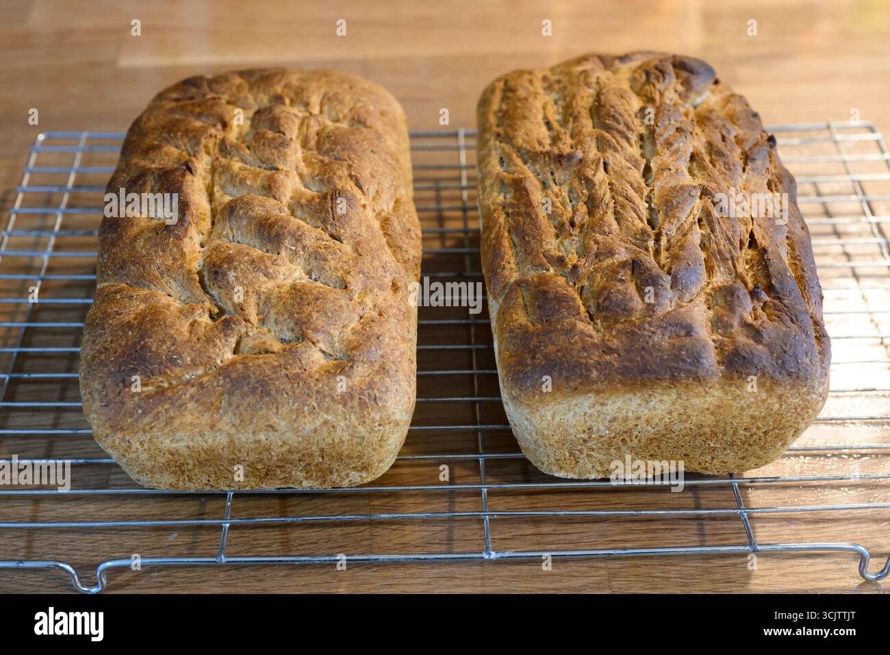 Frisch gebackenes Vollkornbrot auf einem Kühlregal aus Metall Stockfoto
