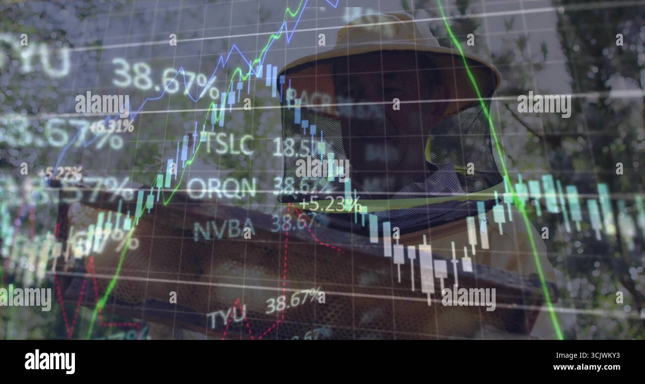 Imker im Bienenzuchtanzug mit bienenbedecktem Rahmen im Bienenhaus, mit Bestandskarten Stockfoto