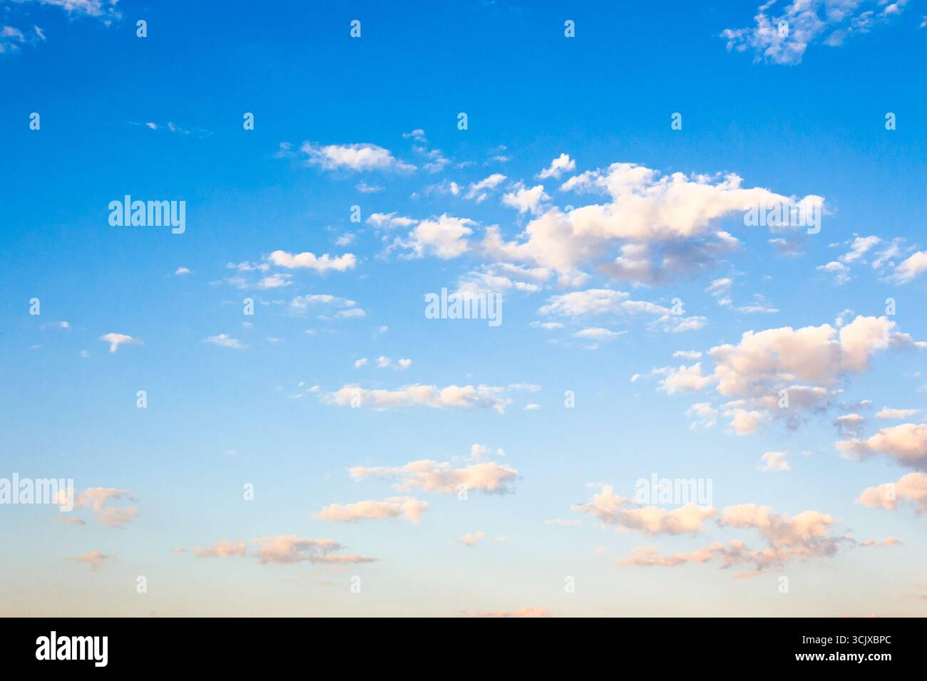 Blauer Himmel an einem sonnigen augusttag. Dynamische Wolkenbildung im Morgenlicht. Windige Wettervorhersage im Sommer. Naturfoto für Hintergrund und Compositi Stockfoto