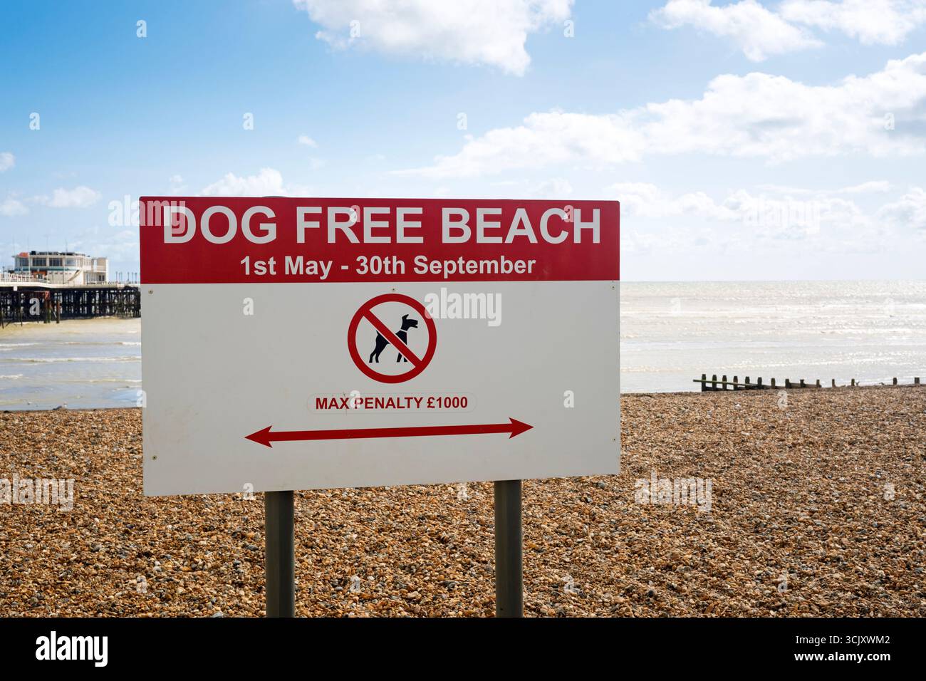 Schild mit Hundefreiheit am Strand, während eingeschränkter Zutritt, saisonales Verbot Stockfoto