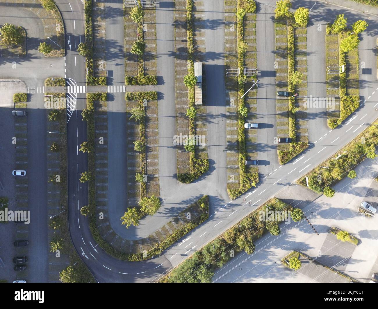 Blick aus der Vogelperspektive auf einen sonnigen Parkplatz mit Bäumen und geordneten Parkbuchten, Parkplatz am Stadtrand von Oldenburg (in Oldenburg) Deutschland Stockfoto