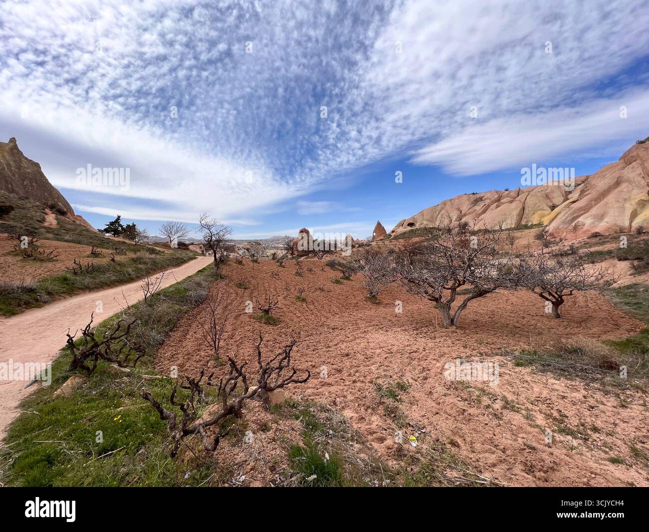 Landschaft mit wunderschöner roter Schlucht und Weinbauernhöfen, kappadokien, türkei Stockfoto