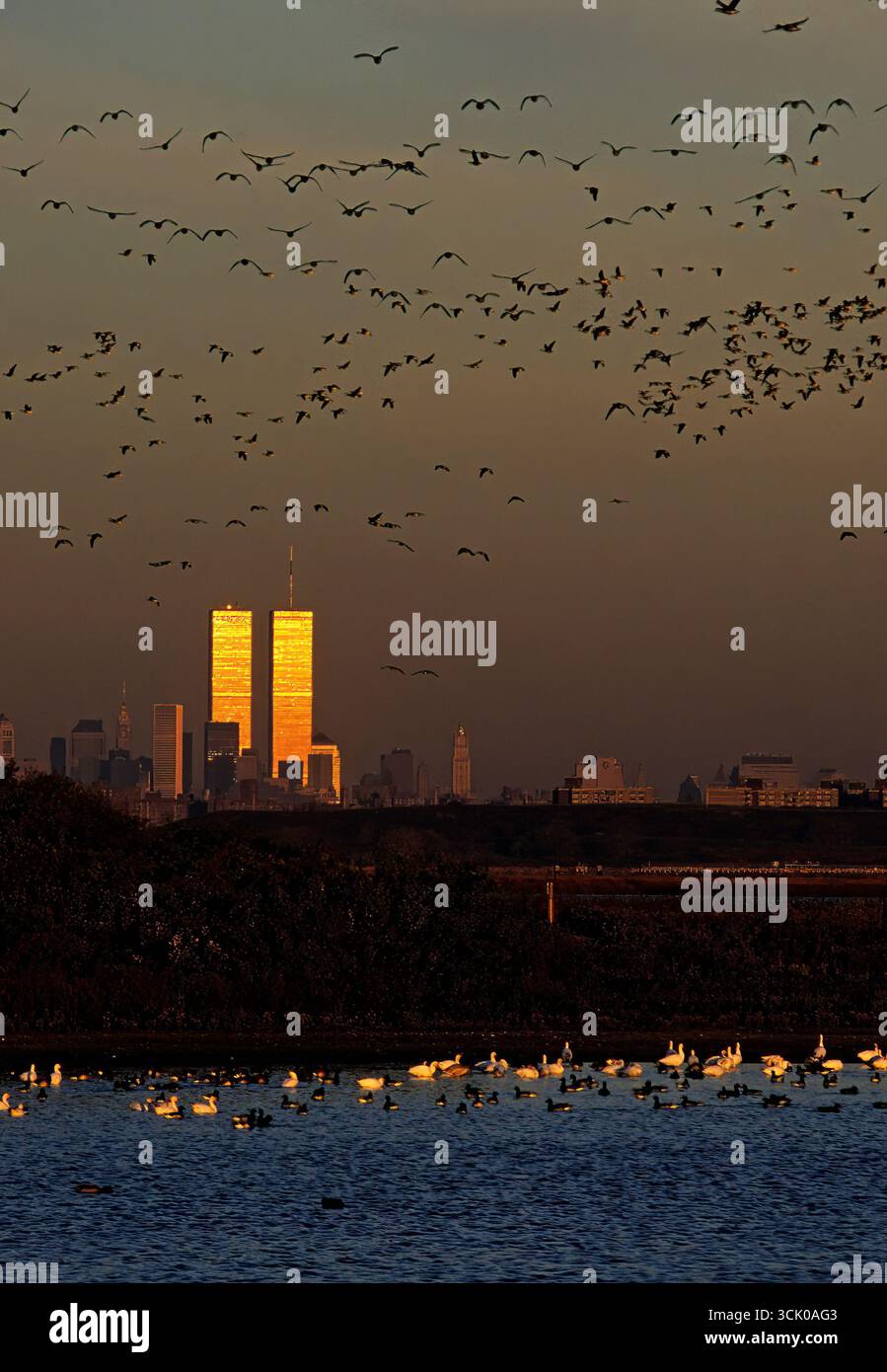 Die World Trade Center Towers beginnen mit Schneegänsen und brant vor dem 11. September Stockfoto