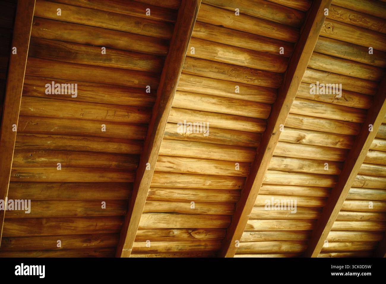 Eine dicke Holzdecke, die aus freiliegenden Holzstämmen oder -Balken als strukturelles und ästhetisches Element besteht Stockfoto