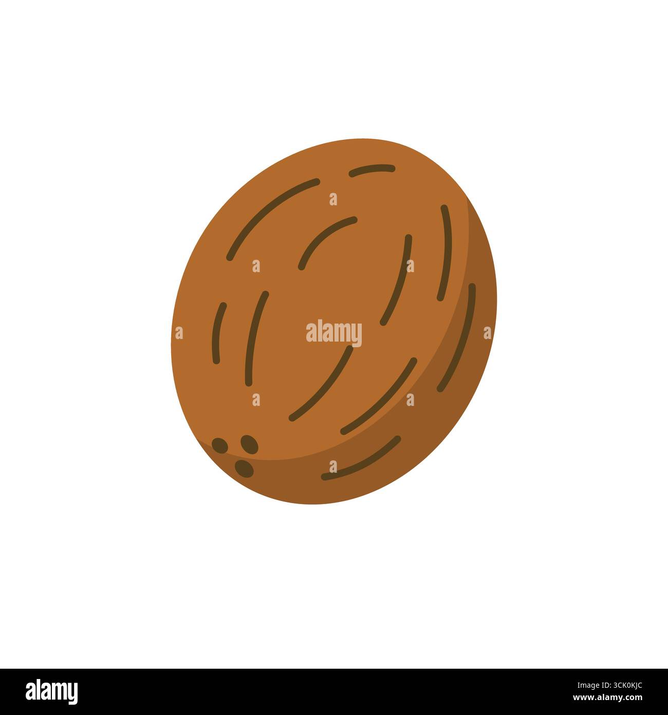 Flache Illustration eines ganzen Kokosnuss minimalistischen Design tropische Frucht Konzept isoliert auf weißem Hintergrund Stock Vektor