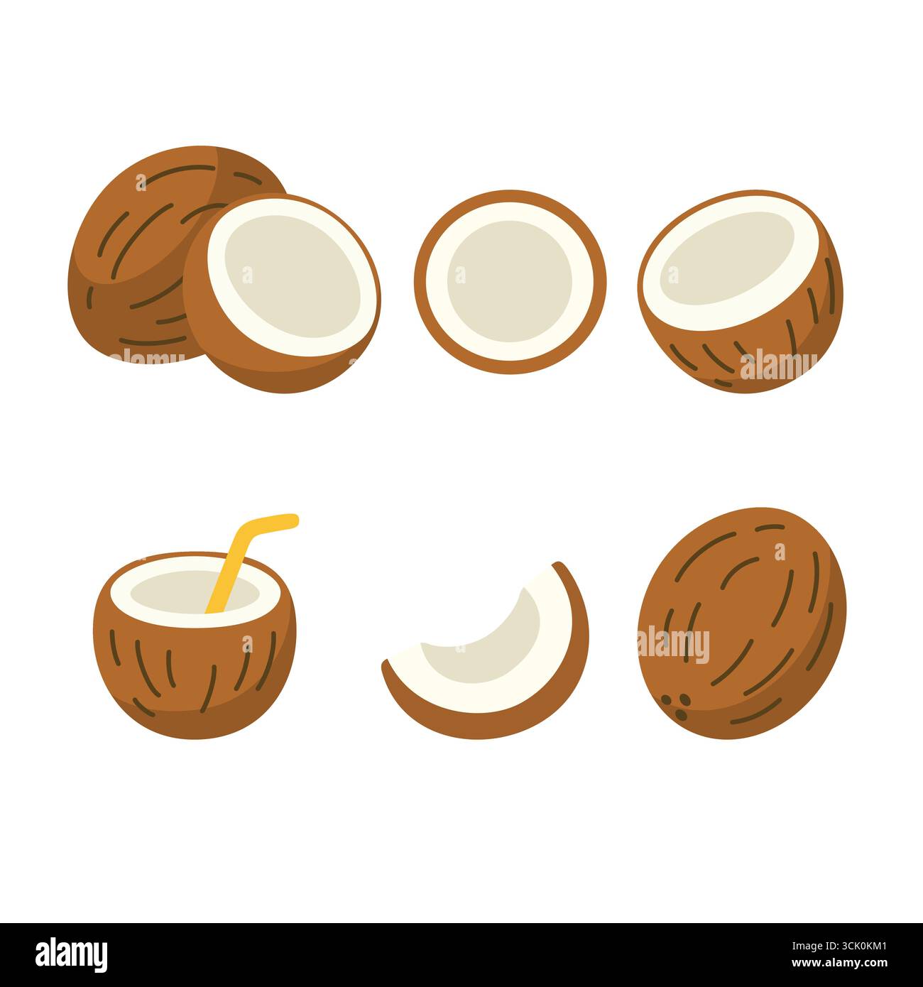 Flache Illustration von Kokosnüssen einschließlich ganze Kokosnüsse, halbe Kokosnuss, Kokosnussscheibe, Kokosnuss mit Strohhalm und Querschnitt minimalistisches DE Stock Vektor