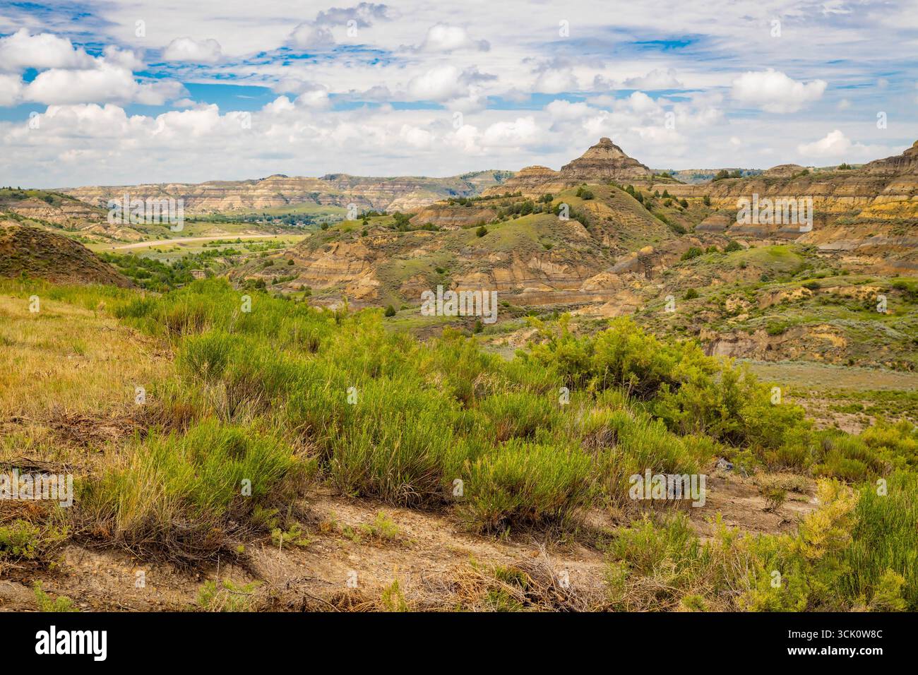 Ein weitläufiger landschaftlicher Überblick erfasst die zerklüfteten Berge und die vielfältige Landschaft der North Side des Theodore Roosevelt National Park Stockfoto