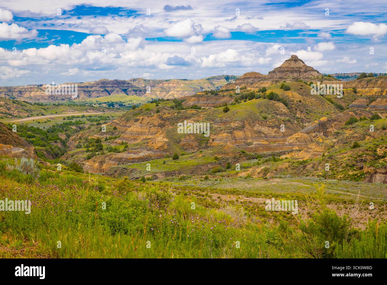 Ein weitläufiger landschaftlicher Überblick erfasst die zerklüfteten Berge und die vielfältige Landschaft der North Side des Theodore Roosevelt National Park Stockfoto