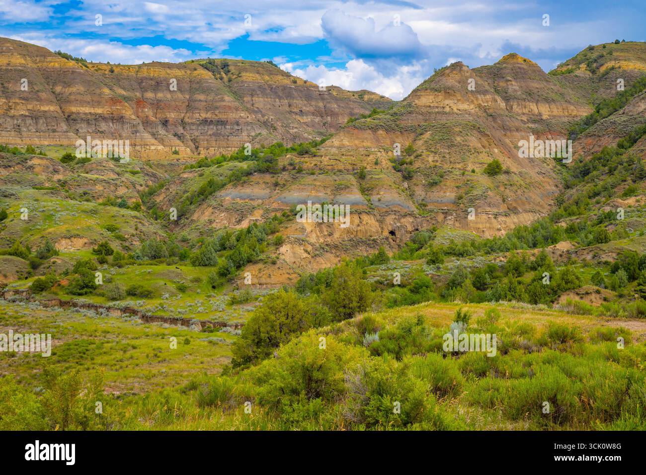 Ein weitläufiger landschaftlicher Überblick erfasst die zerklüfteten Berge und die vielfältige Landschaft der North Side des Theodore Roosevelt National Park Stockfoto