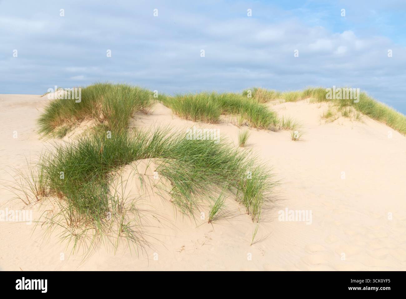 Sanddünen am Formby Point an der Sefton Coast, Merseyside, England. Stockfoto