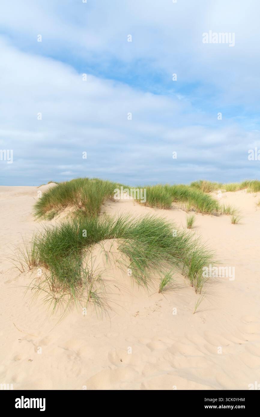 Sanddünen am Formby Point an der Sefton Coast, Merseyside, England. Stockfoto