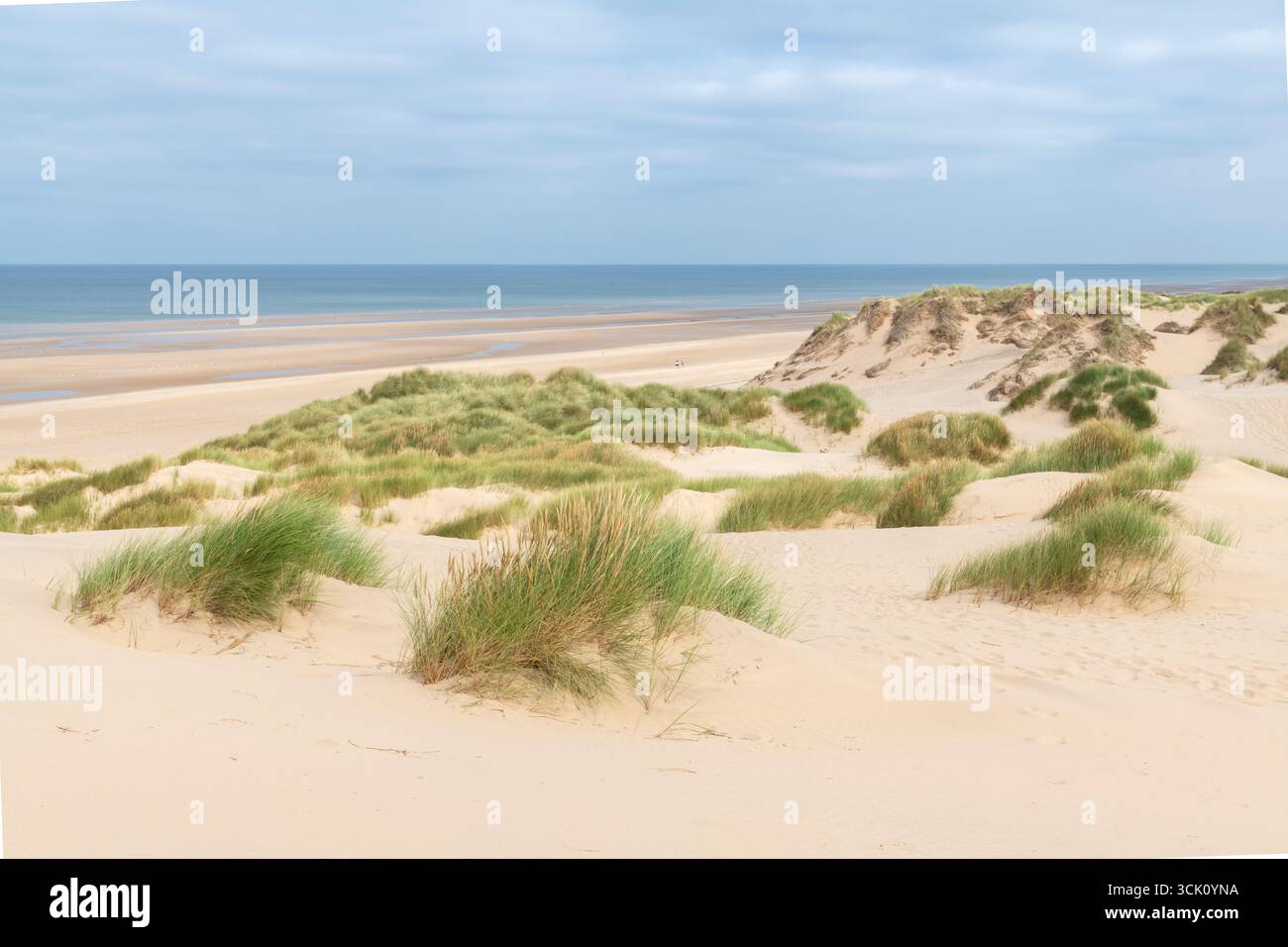 Sanddünen am Formby Point an der Sefton Coast, Merseyside, England. Stockfoto