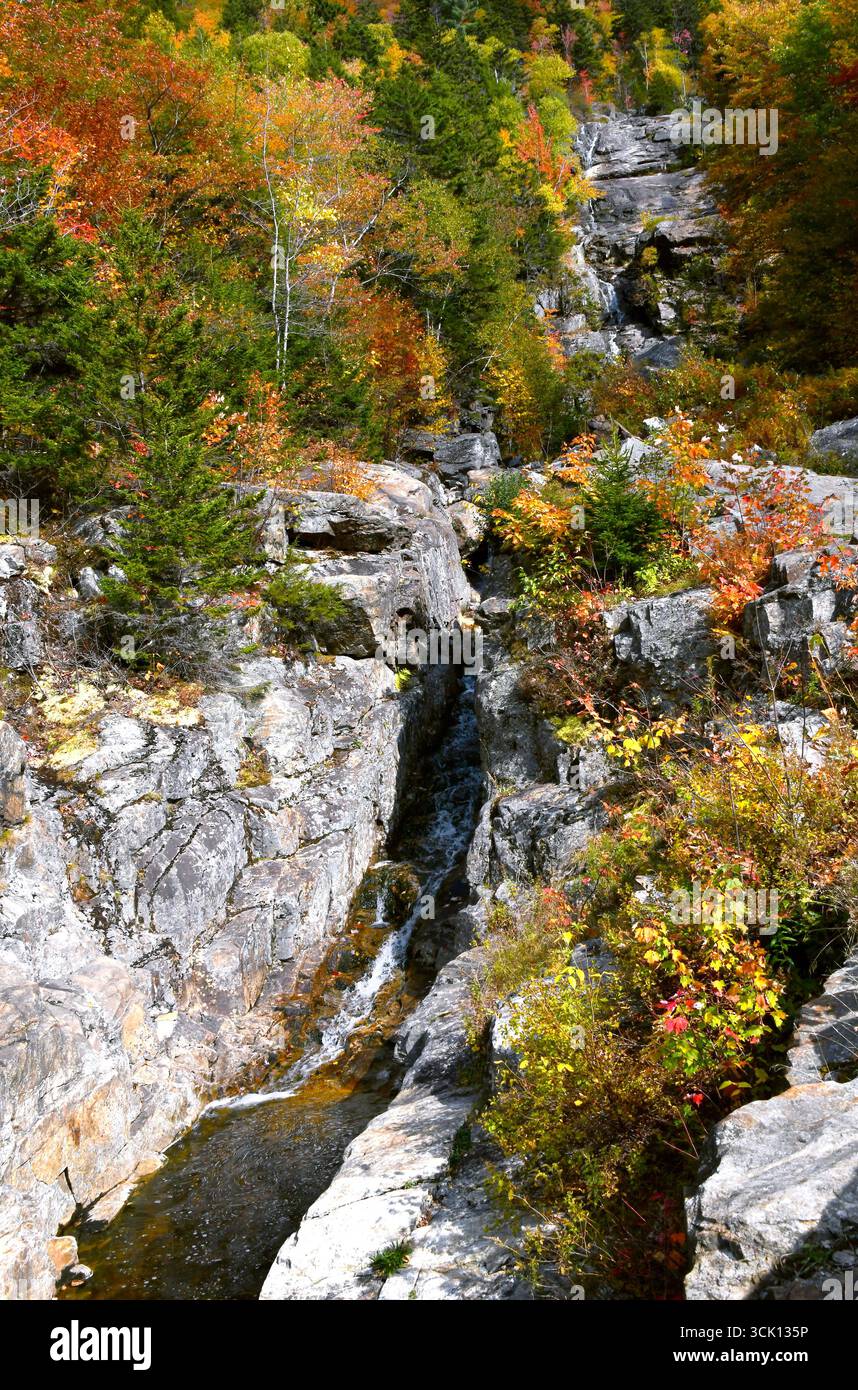 Der Silver Cascade Waterfall in Crawford Notch, New Hampshire, fällt 600 Meter auf der Seite des Mount Jackson ab. Herbstlaub verleiht dem schönen casca Farbe Stockfoto