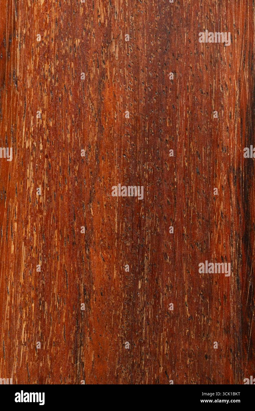 Braunes Hartholz mit kratzender Oberfläche, Makroaufnahme Stockfoto