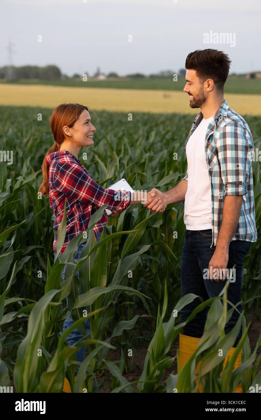 Zwei Personen tauschen abends im üppigen grünen Feld den Handschlag aus. Das warme Licht bei Sonnenuntergang strahlt angenehm auf die Szene Stockfoto