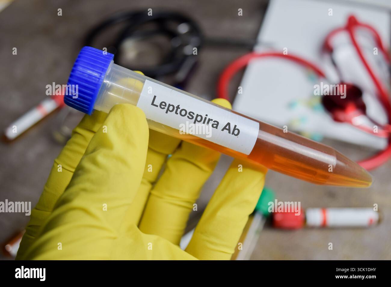 Leptospira ab-Impfmittel in grünen Handschuhen. Medizinisches Konzept Stockfoto