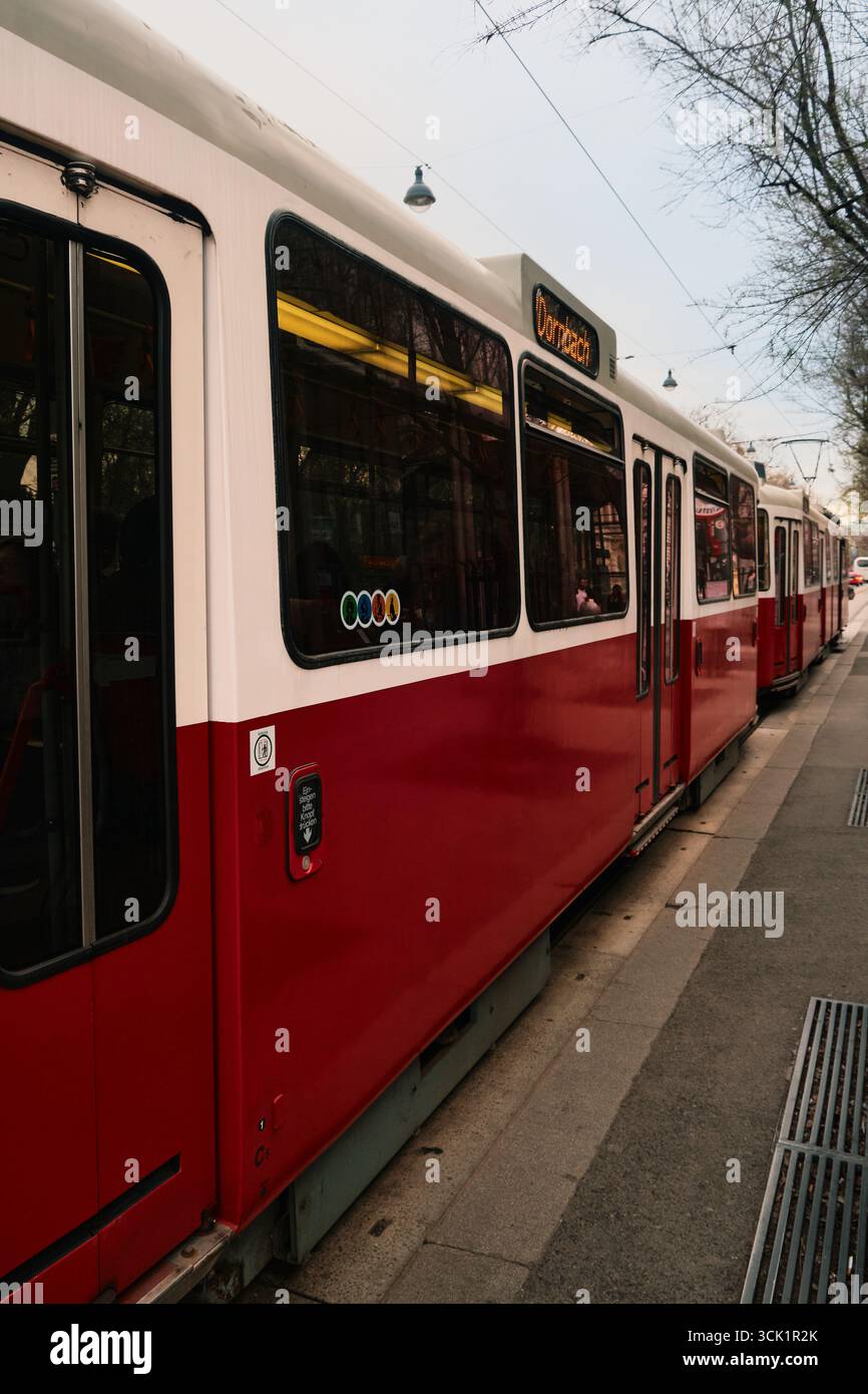 Rot-weiße Wiener Straßenbahn auf den Straßen der Stadt, die den städtischen Nahverkehr, das Stadtbild und die historische Architektur in einem hellen Ambiente am Tag erfasst. Stockfoto