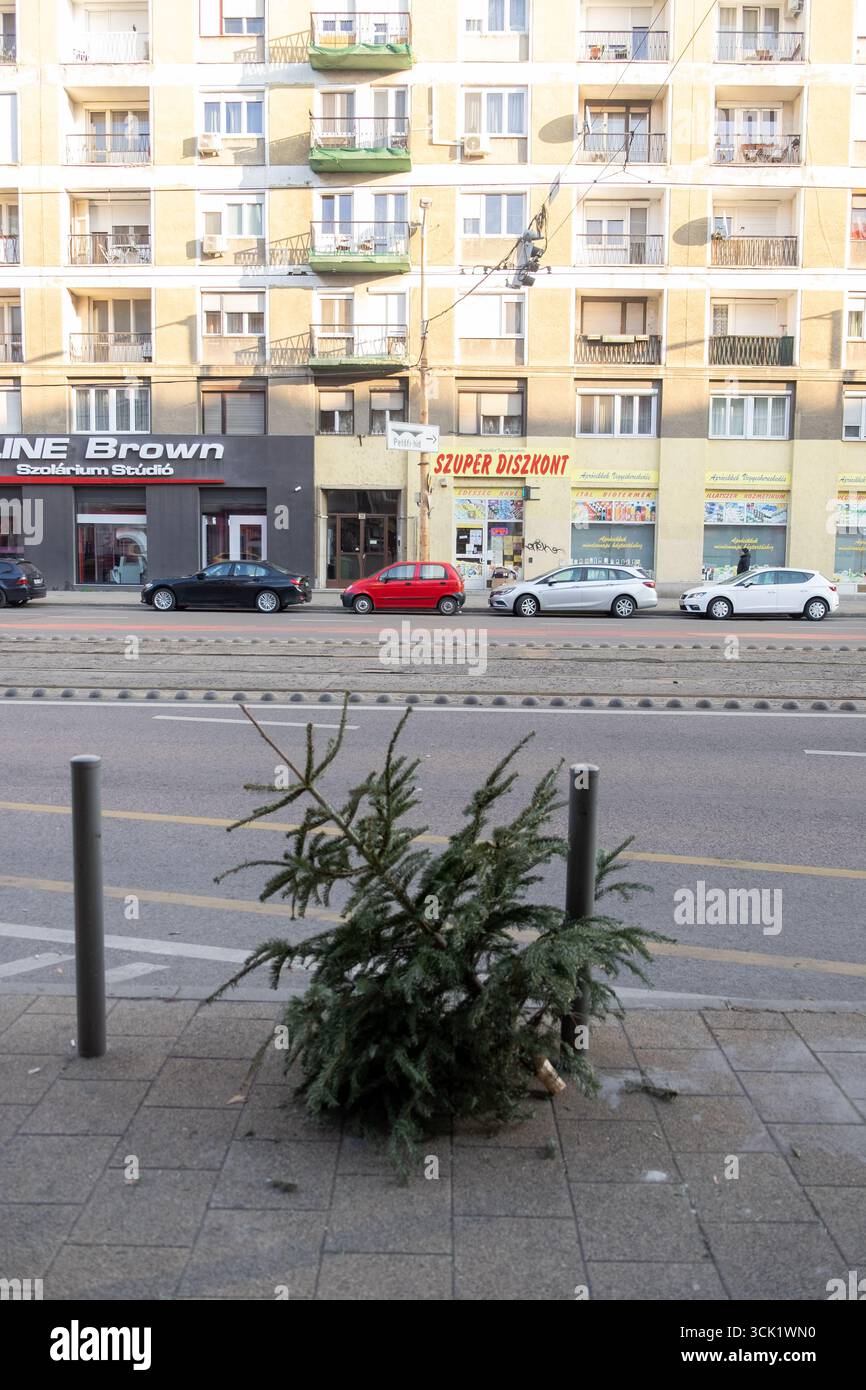 Verlassener Weihnachtsbaum in einer Budapester Straße. Budapest, Ungarn. Januar 2022. Stockfoto
