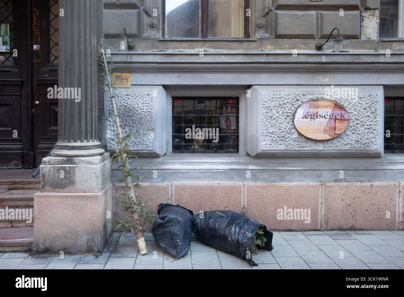 Verlassener Weihnachtsbaum in einer Budapester Straße. Budapest, Ungarn. Januar 2022. Stockfoto