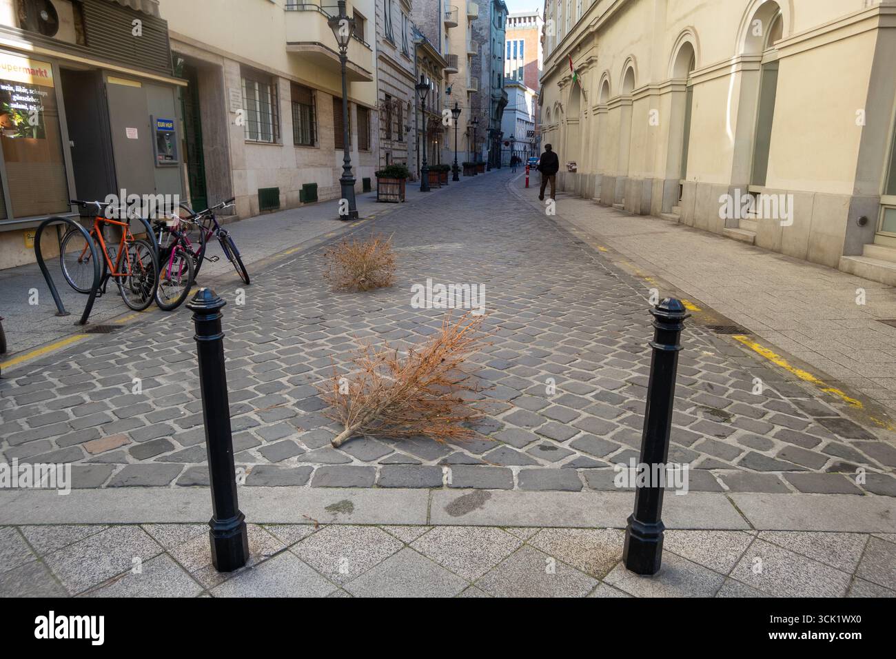 Verlassener Weihnachtsbaum in einer Budapester Straße. Budapest, Ungarn. Januar 2022. Stockfoto