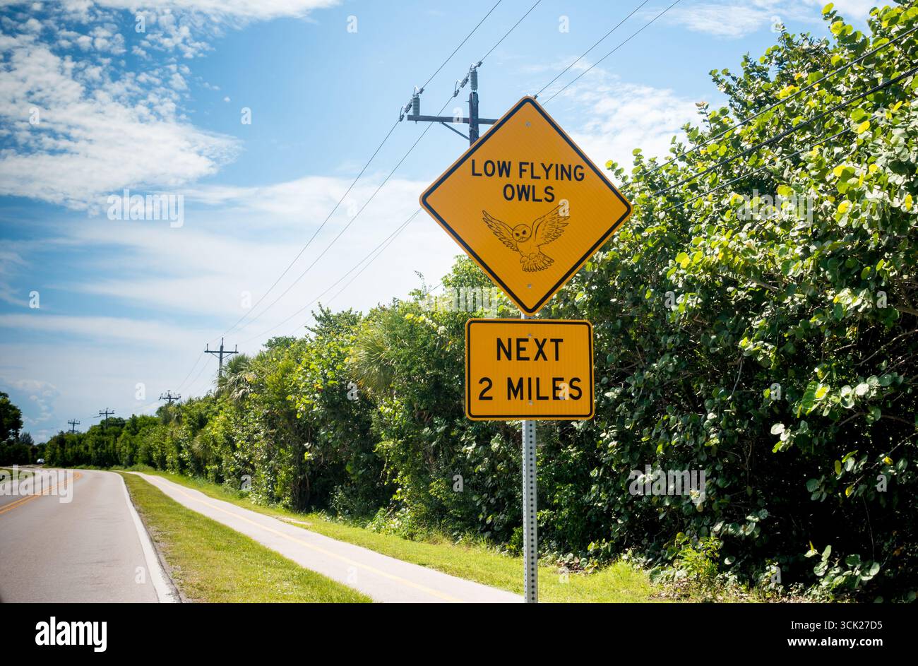 Ein Warnschild am Straßenrand zum Schutz von Eulen (Megascops asio) auf Sanibel Island, Florida Stockfoto