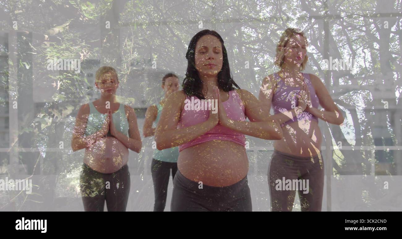 Vier schwangere Frauen in Sportkleidung, die im Yoga-Studio Gebetsposen halten, mit Yogamatten Stockfoto