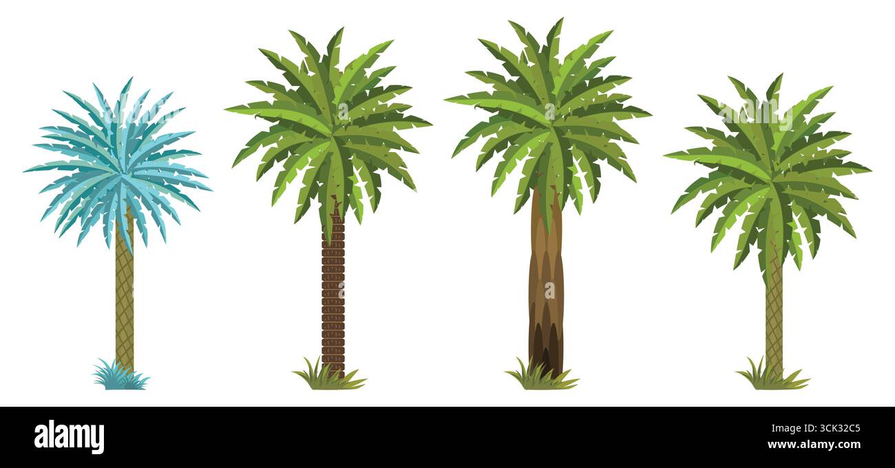 Sammlung von tropischen Palmen Illustrationen mit verschiedenen Stamm- und Blattstilen isoliert auf weißem Hintergrund, exotische Sommer-Dschungel-Pflanzen gesetzt. Stock Vektor