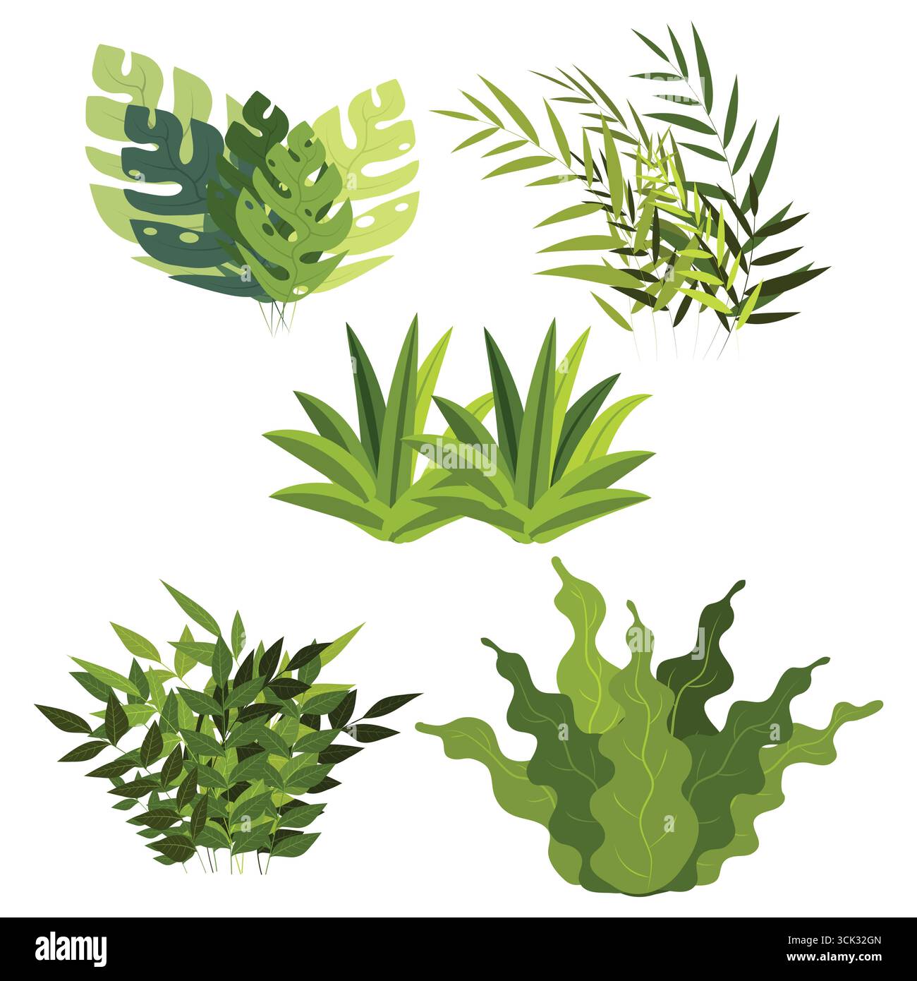 Botanische Illustration verschiedener grüner Pflanzen Eine Sammlung tropischer Laub und grüner Gräser für Natur inspirierte Designs. Stock Vektor
