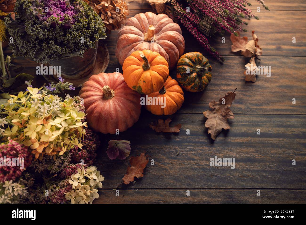 Stillleben mit Kürbissen, Herbstfrüchten und Pflanzen, Thanksgiving-Arrangement mit Kopierraum Stockfoto