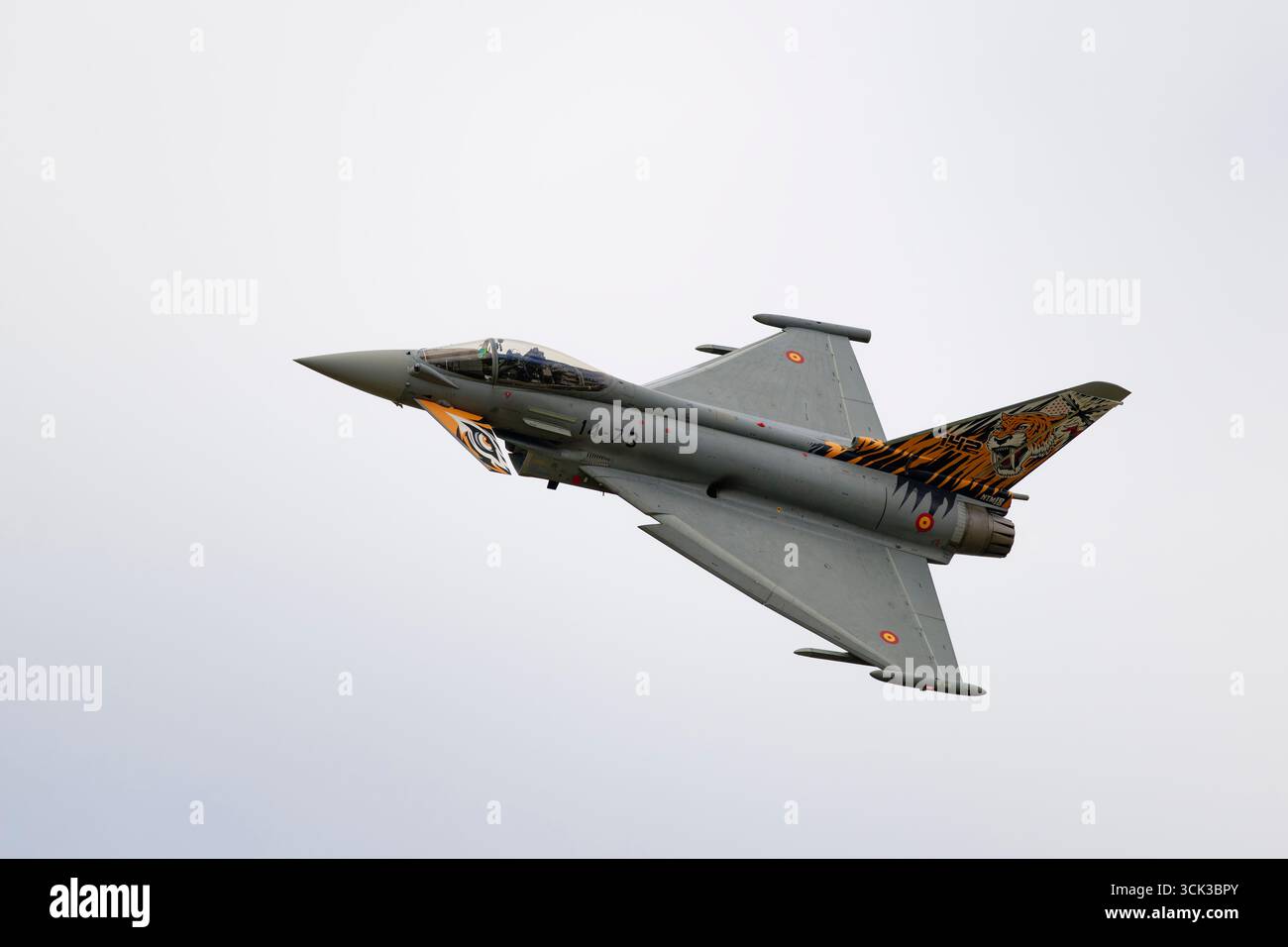 Die spanische Luft- und Raumfahrtwaffe Eurofighter Typhoon EF2000 Multirole Fighter Jet präsentiert sich eindrucksvoll, während er seine Routine vor dem RIAT einstudiert Stockfoto