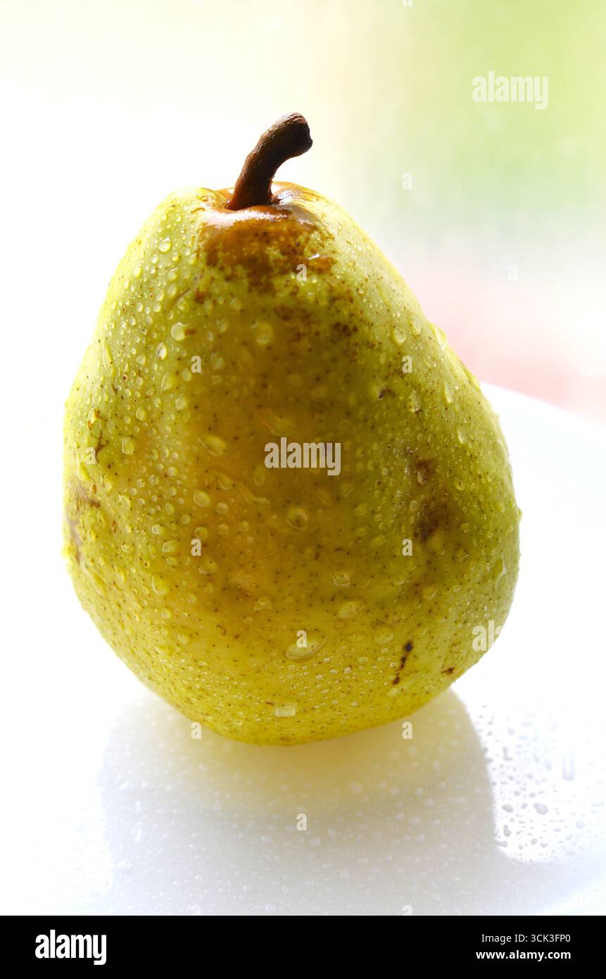 Birne im Herbst mit Wassertropfen, Farbfoto Stockfoto