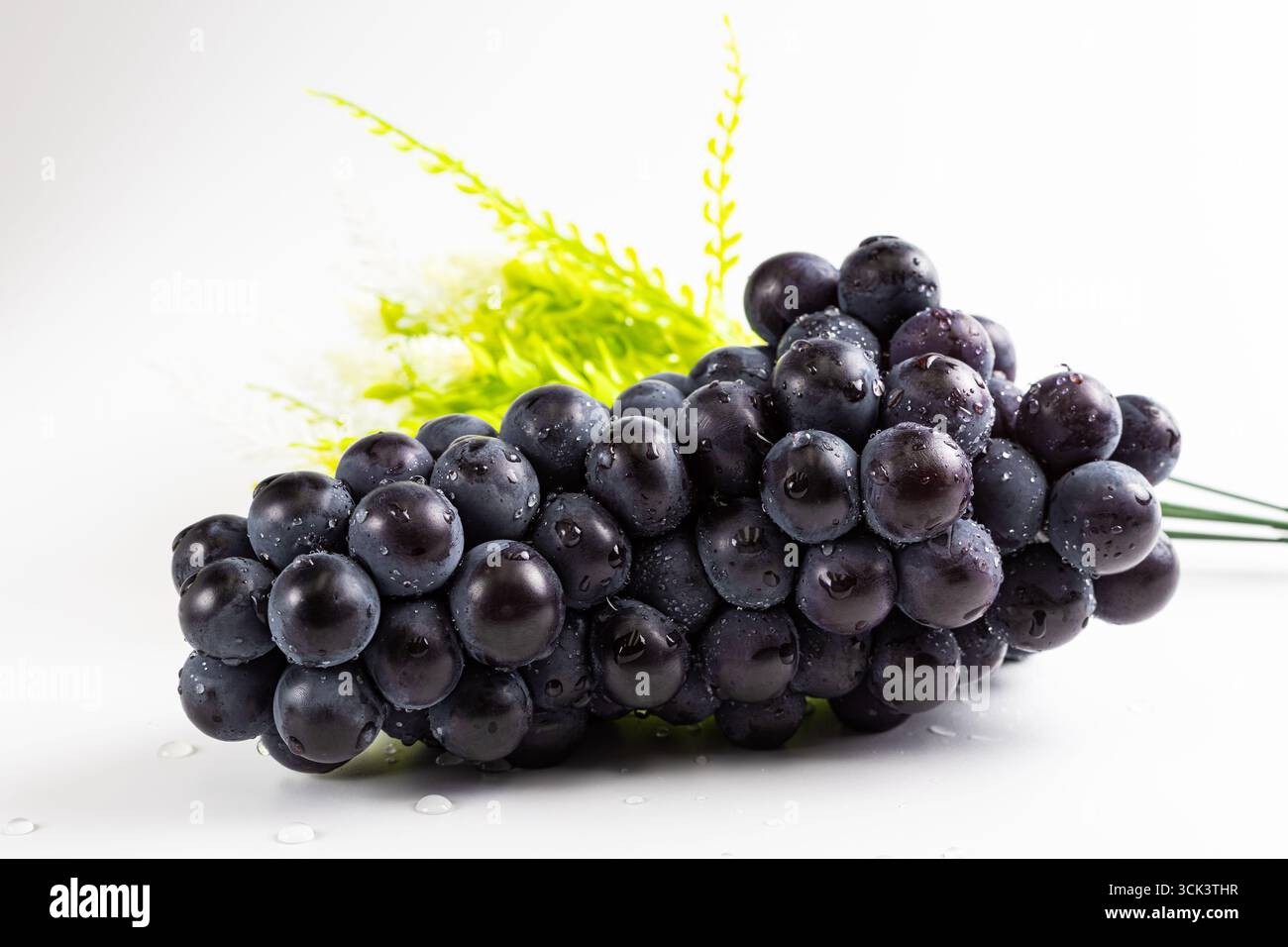 Close-up-Studio-Foto von einem Haufen saftiger, saftiger Herbsttrauben vor weißem Hintergrund. Stockfoto