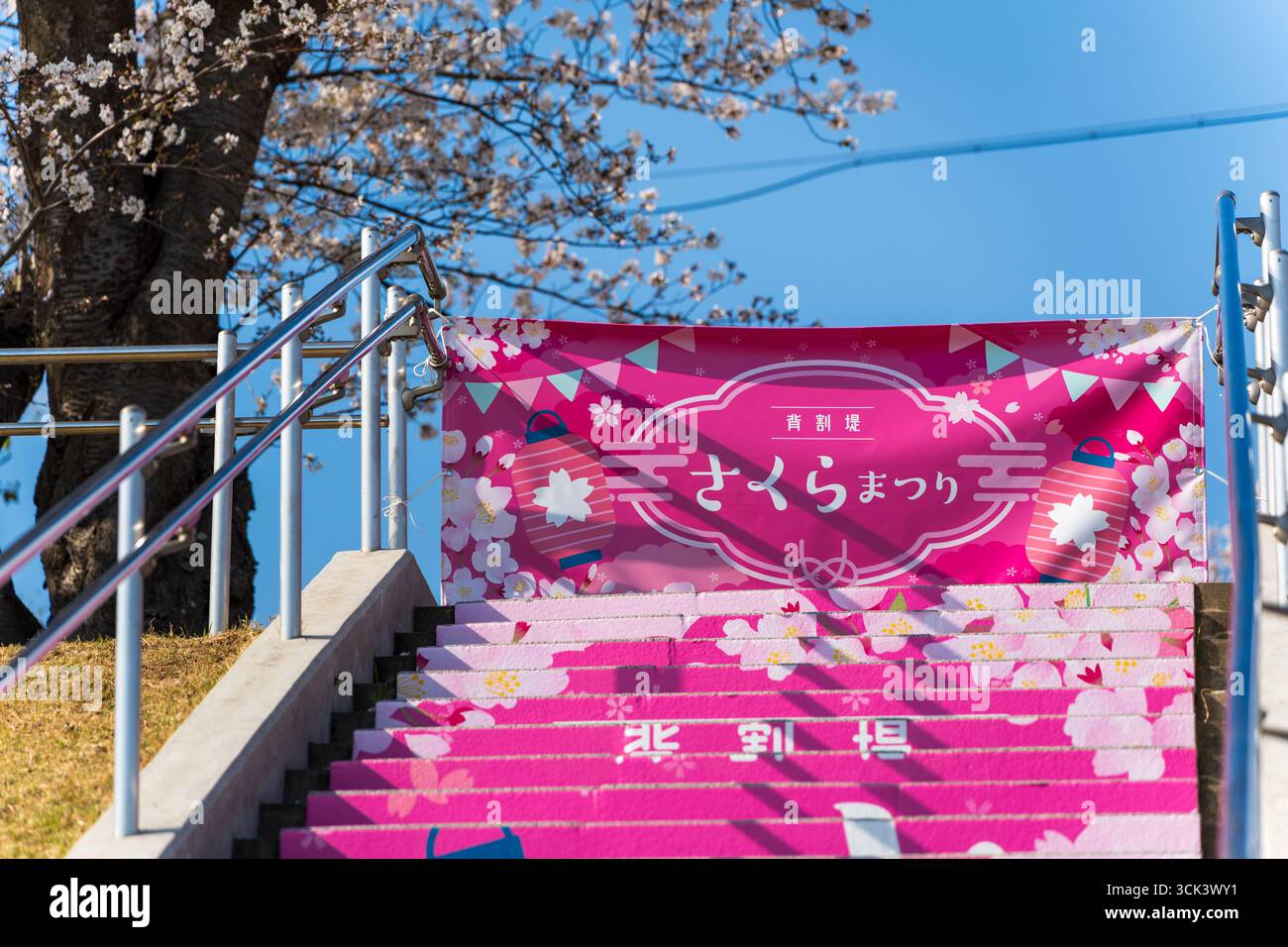 Yawata, Kyoto, Japan. Leuchtend rosafarbene dekorative Banner und Schilder auf einer Treppe begrüßen Besucher des Sewaritei Cherry Blossom Festival Matsuri Stockfoto