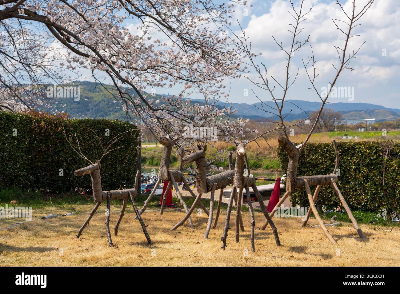 Künstlerische Hirschobjekte aus Ästen schmücken den Park während des Kirschblütenfestes von Sewaritei. Yawata, Kyoto, Japan. Stockfoto