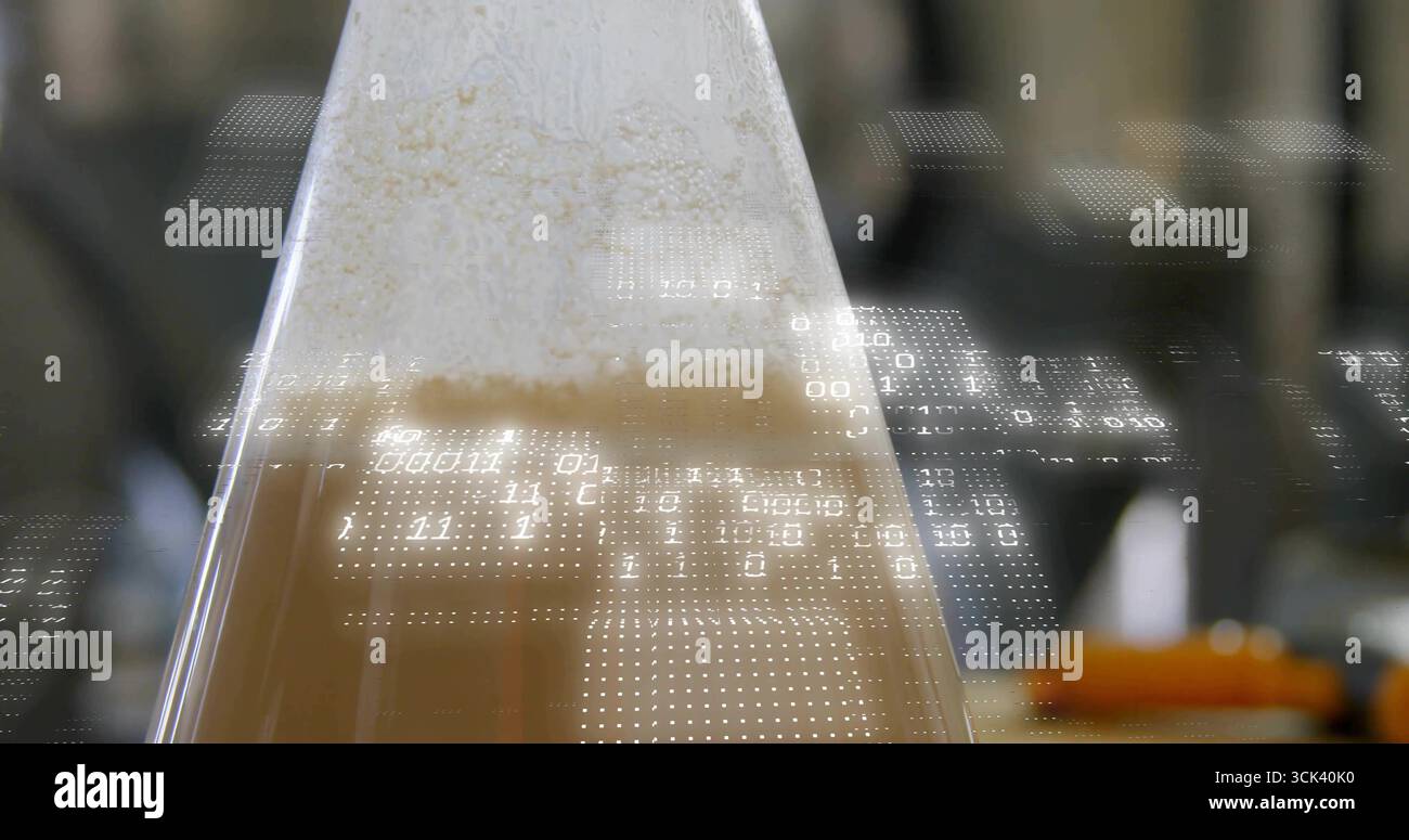 Zeigt konischen Kolben mit schaumbeladener brauner Flüssigkeit in der Brauerei mit Binärcode-Overlay Stockfoto