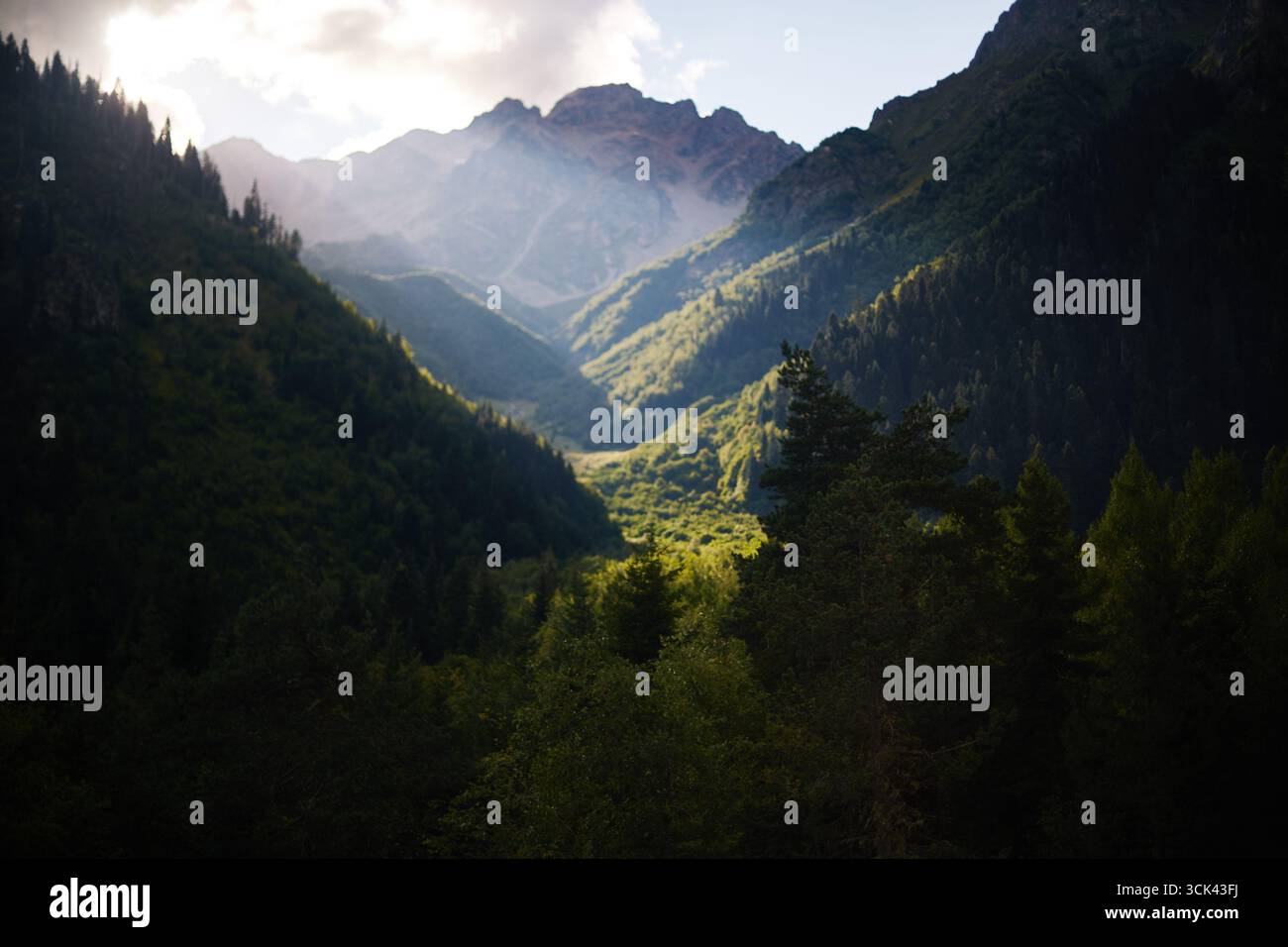 Berglandschaft mit sonnendurchflutetem Tal, umgeben von dichtem grünen Wald und hohen Gipfeln, mit dramatischem Sonnenlicht, das durch Wolken strömt und Hänge und Baumkronen beleuchtet Stockfoto