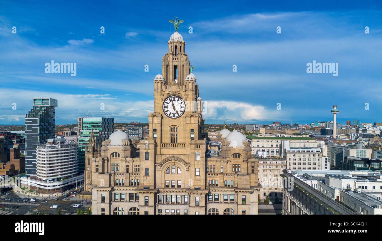 Das Royal Liver Gebäude an der Hafenpromenade von Liverpool mit dem Liverbird hoch auf der Dachkuppel mit der Skyline der Stadt dahinter. Stockfoto