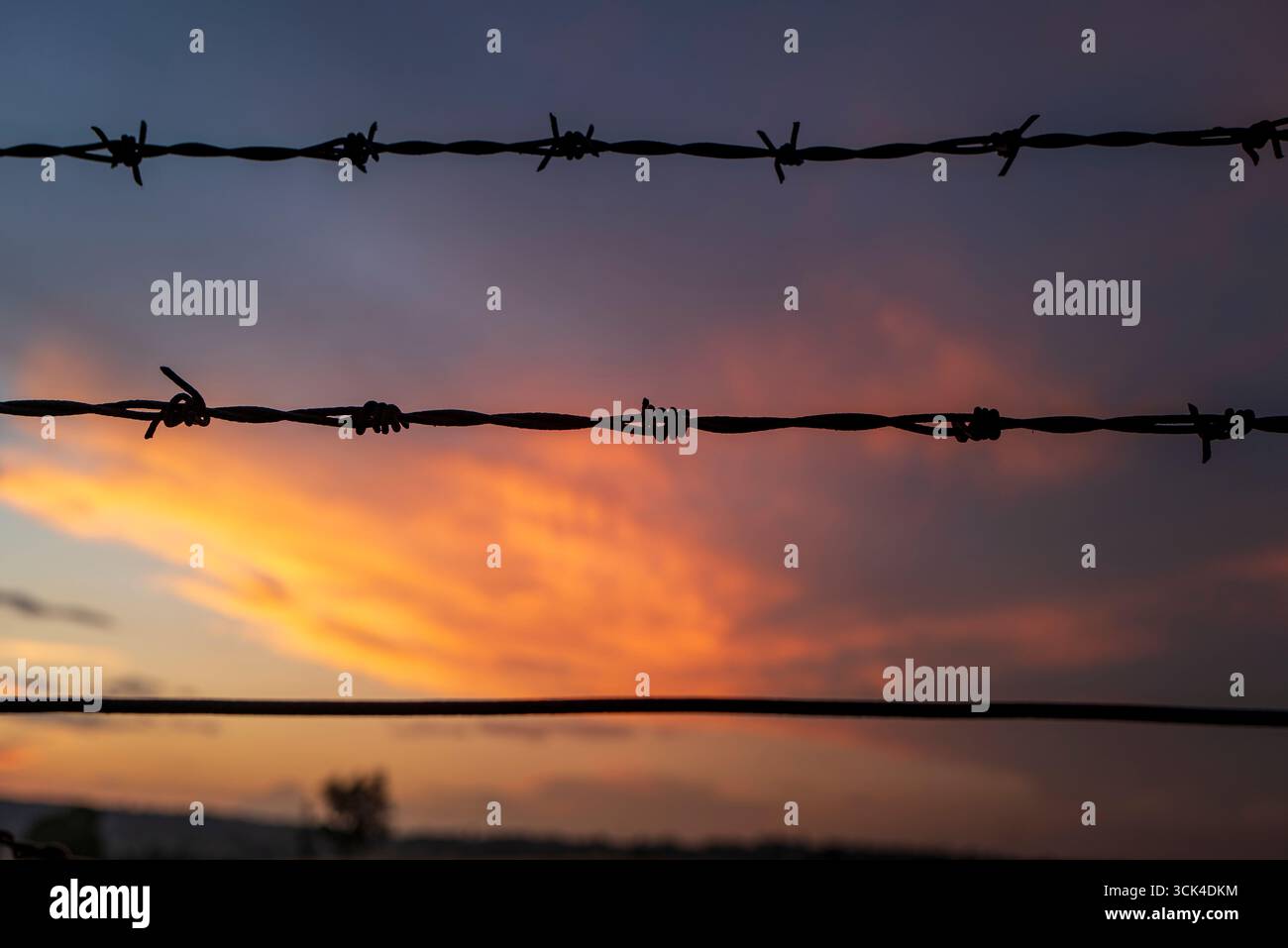 Stacheldrahtzaun am Himmel bei Sonnenuntergang Stockfoto