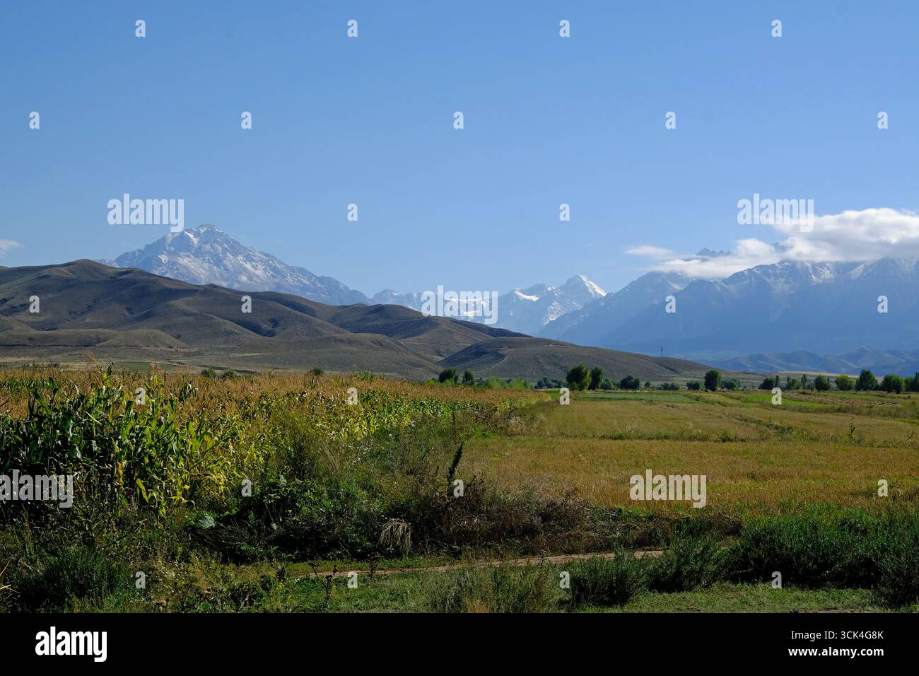 Das schneebedeckte Tian Shan-Gebirge erhebt sich auf der Südseite des Issyk-Kol-Sees in Kirgisistan. Stockfoto