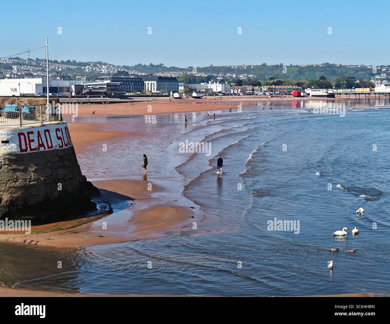 Leute paddeln im Meer Paignton, Torbay, South Devon Stockfoto