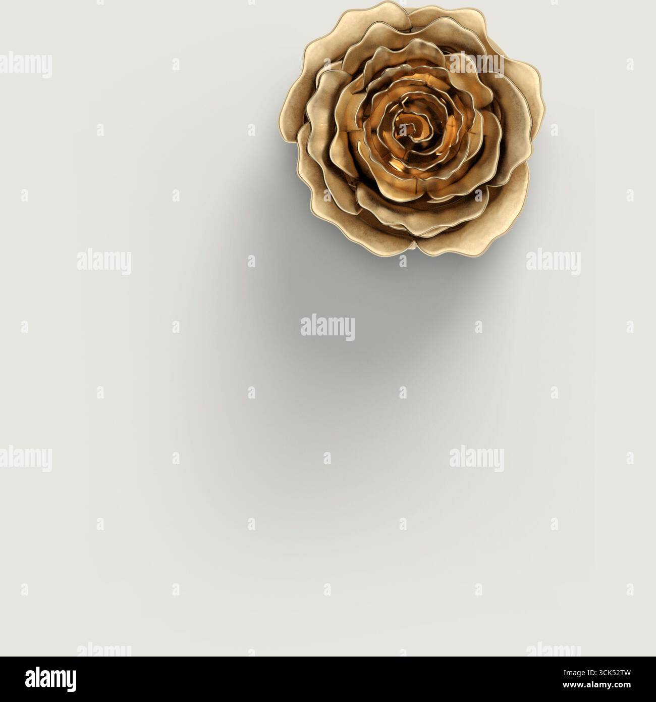 Ansicht von oben realistische rote Rose isoliert auf einfachem Hintergrund, nützlich für Elementdesigns. Stockfoto