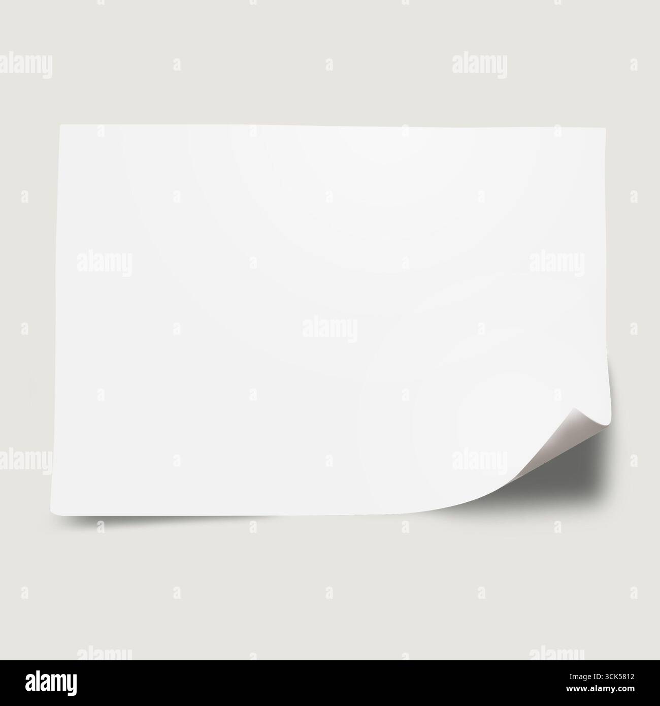 Ein leeres Blatt Papier mit einer gewellten Kante, was auf Potenzial für Kreativität oder Notizen hindeutet. Stockfoto