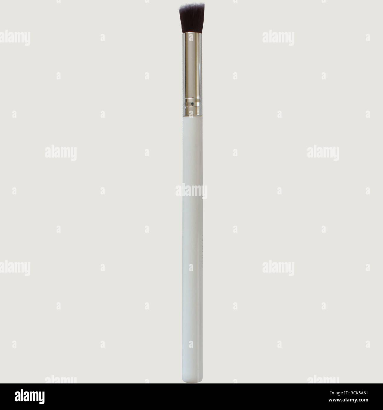Ein Schminkpinsel mit weißem Griff und weicher, abgerundeter Borstenspitze zum Auftragen von Kosmetik. Stockfoto
